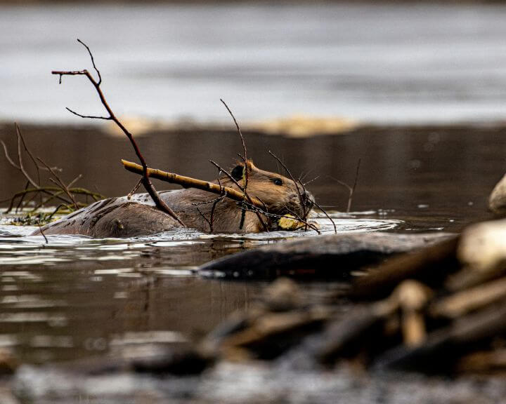 derek-otway-eP2vzcEbmuU-unsplash