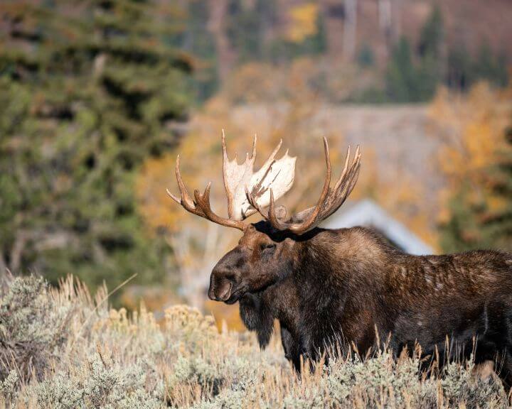 hari-nandakumar-hPQtvIFr7d0-unsplash