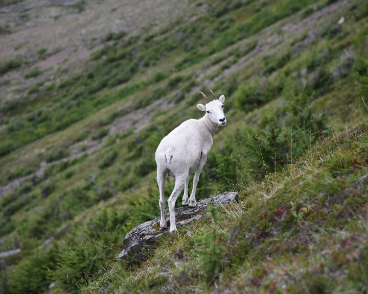 paxson-woelber-nqf1IgE6PZE-unsplash