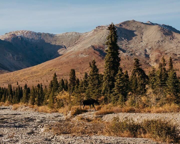 pexels-katie-spencer-113004912-9683354