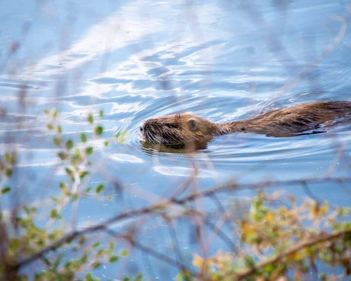 pexels-liron-malyanker-353575367-14247320