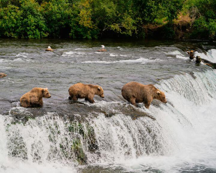 pradeep-nayak-21fFzg-8MM8-unsplash