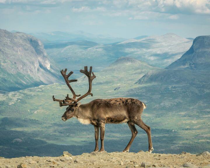 sebastien-goldberg-1r6rwX1FUdc-unsplash